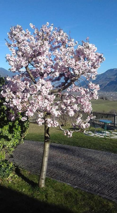 Landhaus Weingut Girlan Exterior foto
