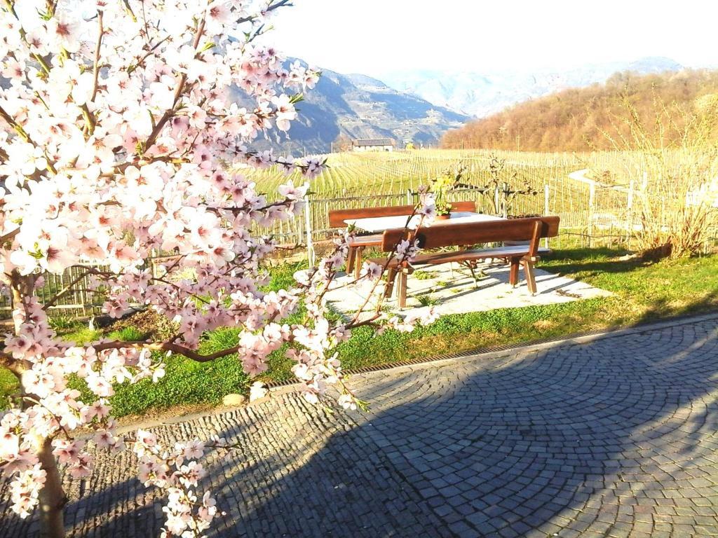 Landhaus Weingut Girlan Exterior foto